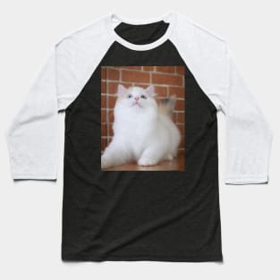 The little white cute cats Baseball T-Shirt